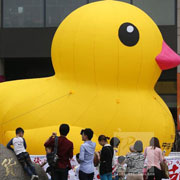 advertising inflatable duck